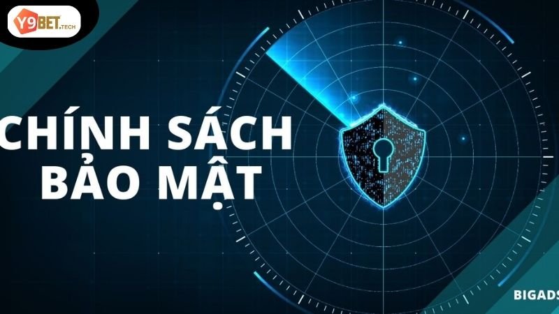 Chính Sách Bảo Mật Y9Bet - Đảm bảo an toàn dữ liệu cá nhân 3 Thông tin mà Y9Bet thu thập