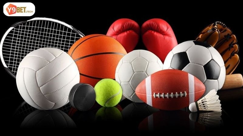 Thể Thao Y9BET - Đam Mê Cùng Những Cuộc Chơi Nảy Lửa 2 Các loại hình được cung cấp ở trên Thể Thao Y9BET