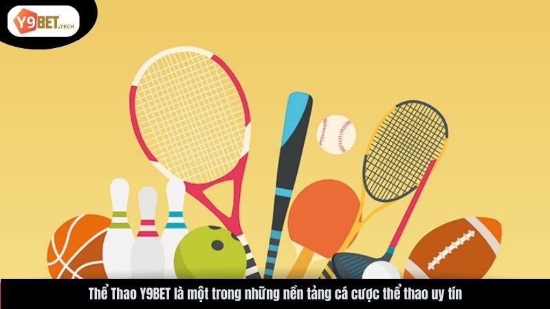 Thể Thao Y9BET